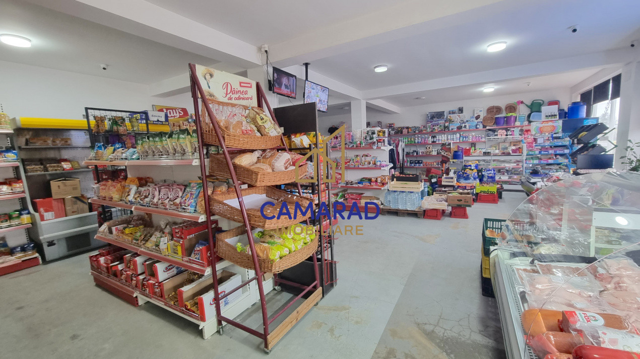 Teren de vânzare în Tămădău Mare, jud. Călărași – Strada Principală