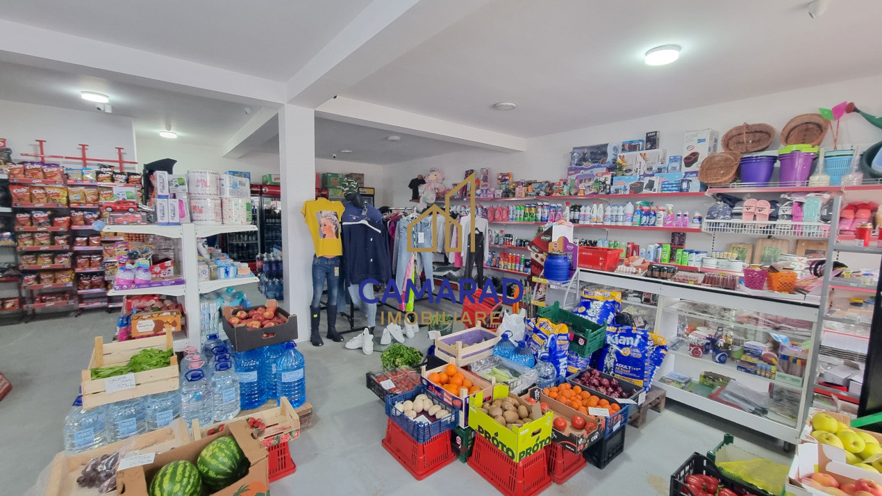 Teren de vânzare în Tămădău Mare, jud. Călărași – Strada Principală