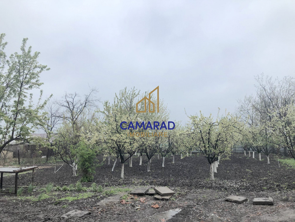 Teren de vânzare în Tămădău Mare, jud. Călărași – Strada Principală