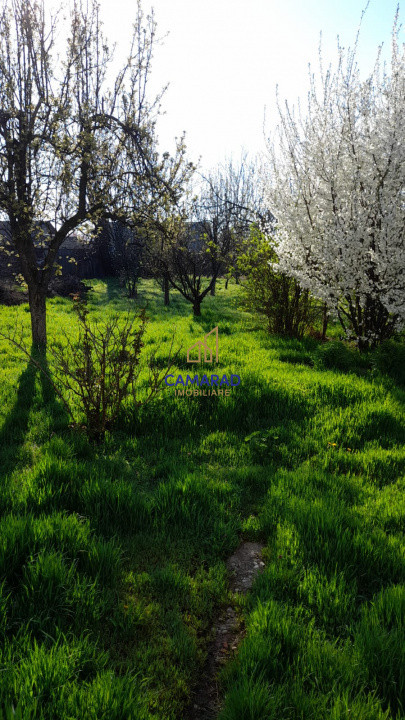 Teren de vânzare în Tămădău Mare, jud. Călărași – Strada Principală