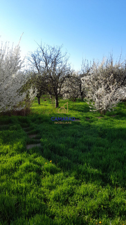 Teren de vânzare în Tămădău Mare, jud. Călărași – Strada Principală