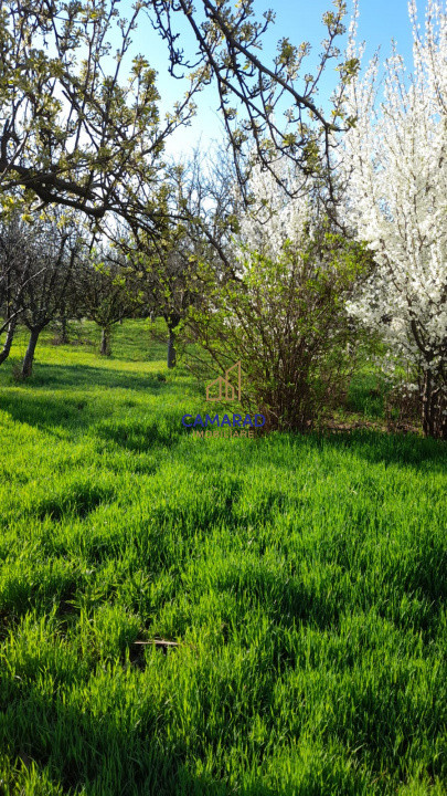 Teren de vânzare în Tămădău Mare, jud. Călărași – Strada Principală