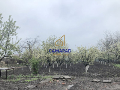 Teren de vânzare în Tămădău Mare, jud. Călărași – Strada Principală