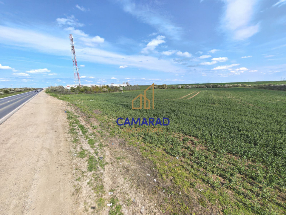 Teren intravilan 11.225 mp | Popești-Leordeni | Sos. de Centura