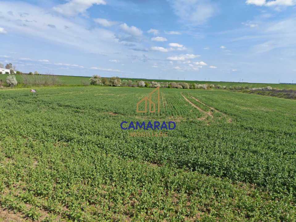 Teren intravilan 11.225 mp | Popești-Leordeni | Sos. de Centura