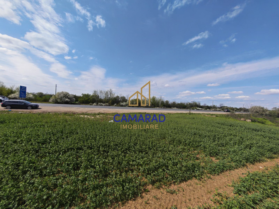 Teren intravilan 11.225 mp | Popești-Leordeni | Sos. de Centura