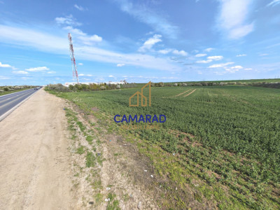 Teren intravilan 11.225 mp | Popești-Leordeni | Sos. de Centura