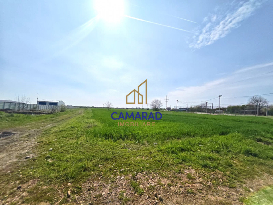 Teren intravilan 13.602 mp | Dragomiresti Vale | Sos. de Centura
