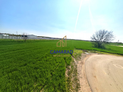 Teren intravilan 13.602 mp | Dragomiresti Vale | Sos. de Centura