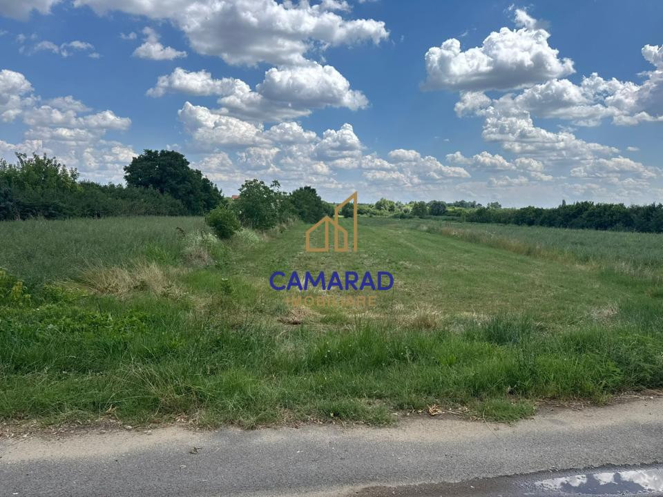 Teren 4694 mp Buftea | Potențial de extindere | intravilan - Parcul dintre Flori