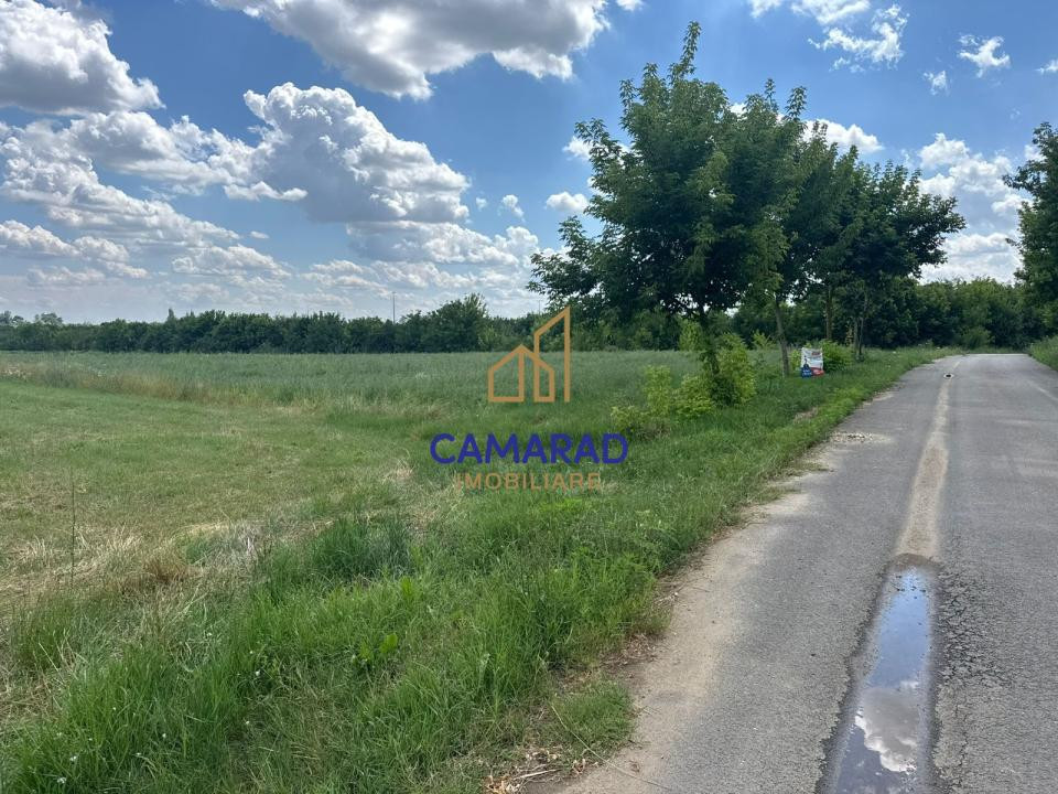 Teren 4694 mp Buftea | Potențial de extindere | intravilan - Parcul dintre Flori