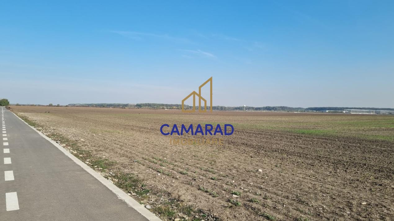 TEREN INTRAVILAN 3.870 MP – BUFTEA | ZONA TAMASI | FRONT STRADAL 32 ML