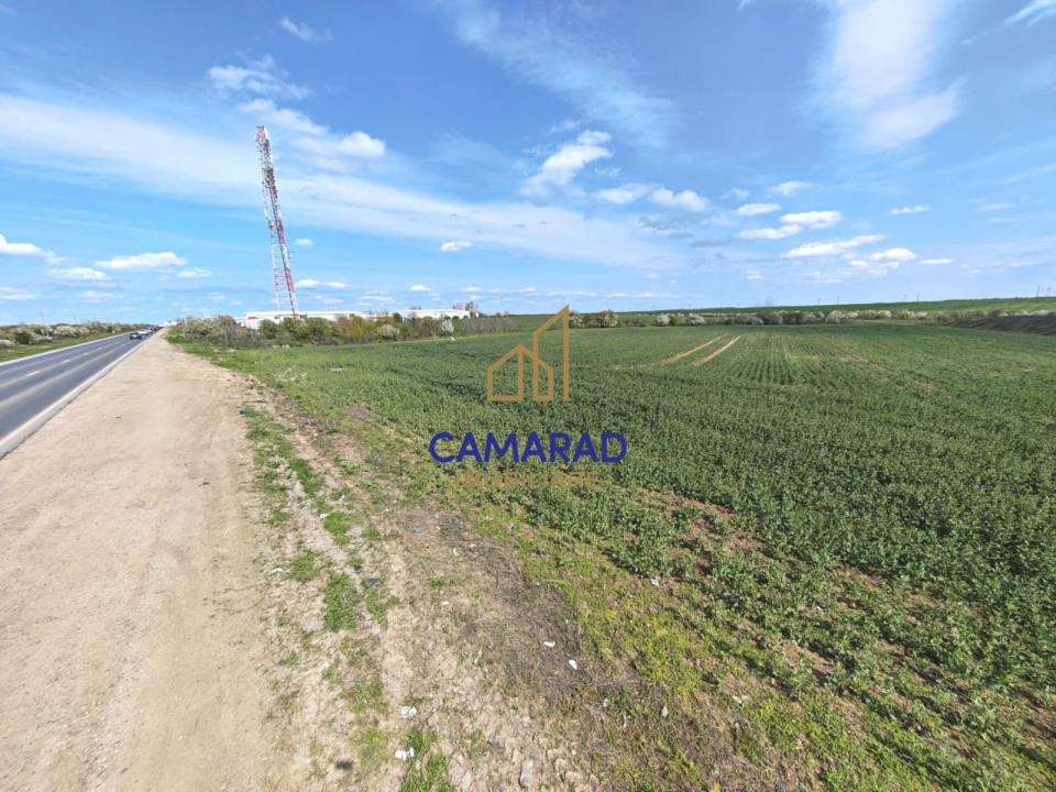 Teren intravilan 11.225 mp | Popești-Leordeni | Sos. de Centura