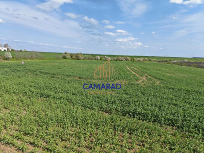Teren intravilan 11.225 mp | Popești-Leordeni | Sos. de Centura