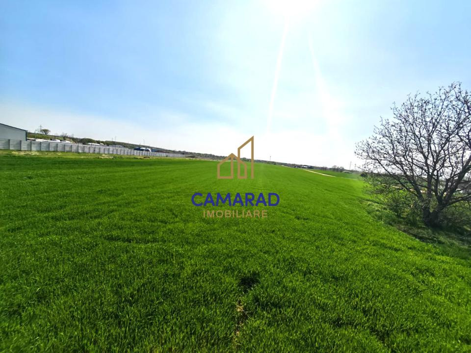 Teren intravilan 13.602 mp | Dragomiresti Vale | Sos. de Centura