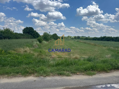 Teren 4694 mp Buftea | Potențial de extindere | intravilan - Parcul dintre Flori