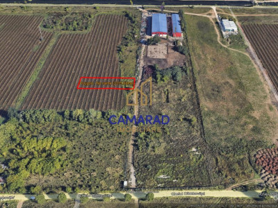 Teren intravilan 2.375 mp - SPLAIUL UNIRII - Popești-Leordeni 