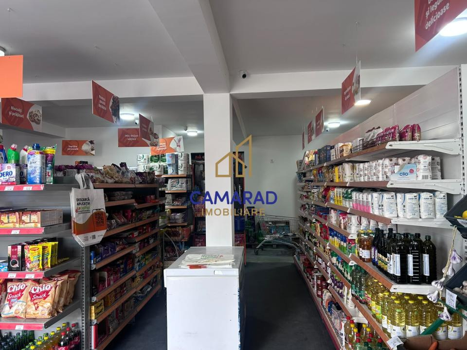 AFACERE LA CHEIE – SPAȚIU COMERCIAL | TĂMĂDĂU MARE | STRADA PRINCIPALA