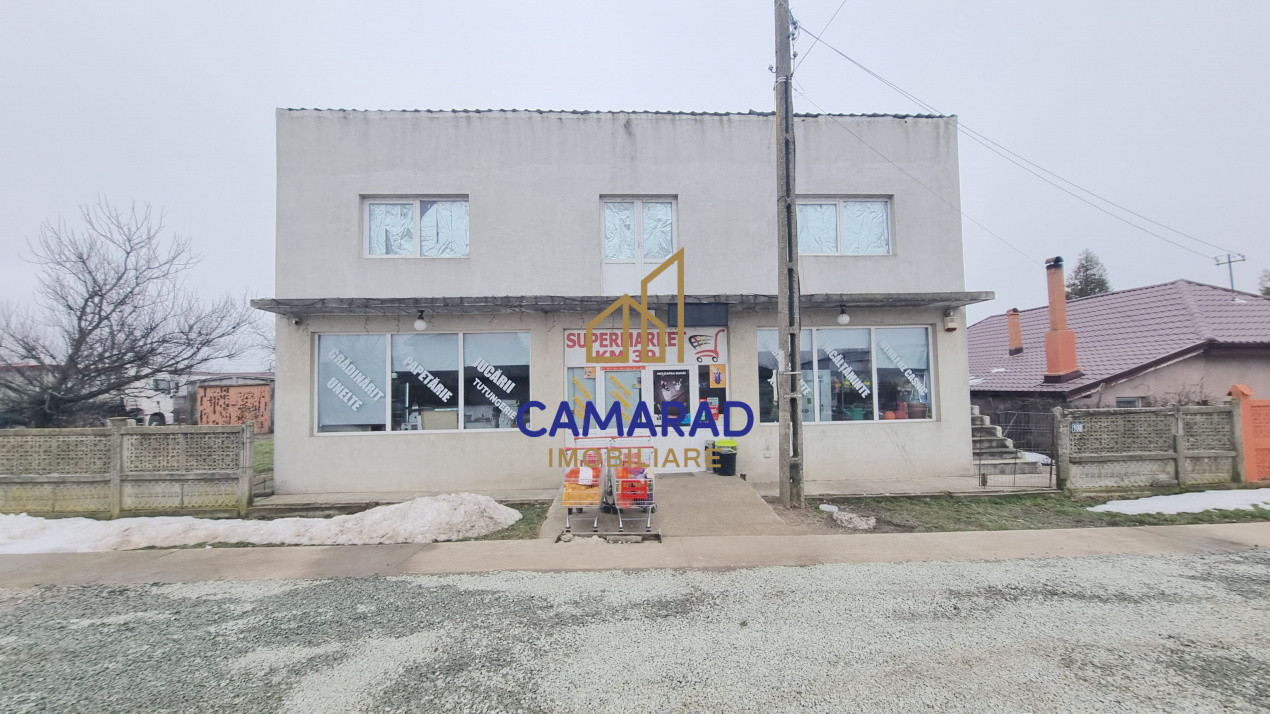 Casă de vânzare în Tămădău Mare, jud. Călărași – Strada Principală