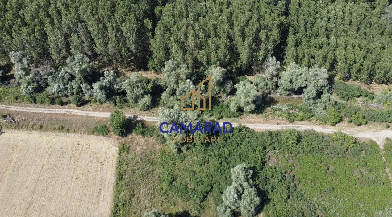 Teren de vânzare - deschidere la Dunare -Băltenii de Sus, comuna Beștepe, Tulcea