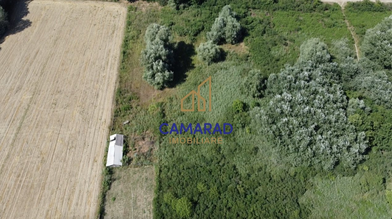 Teren de vânzare - deschidere la Dunare -Băltenii de Sus, comuna Beștepe, Tulcea