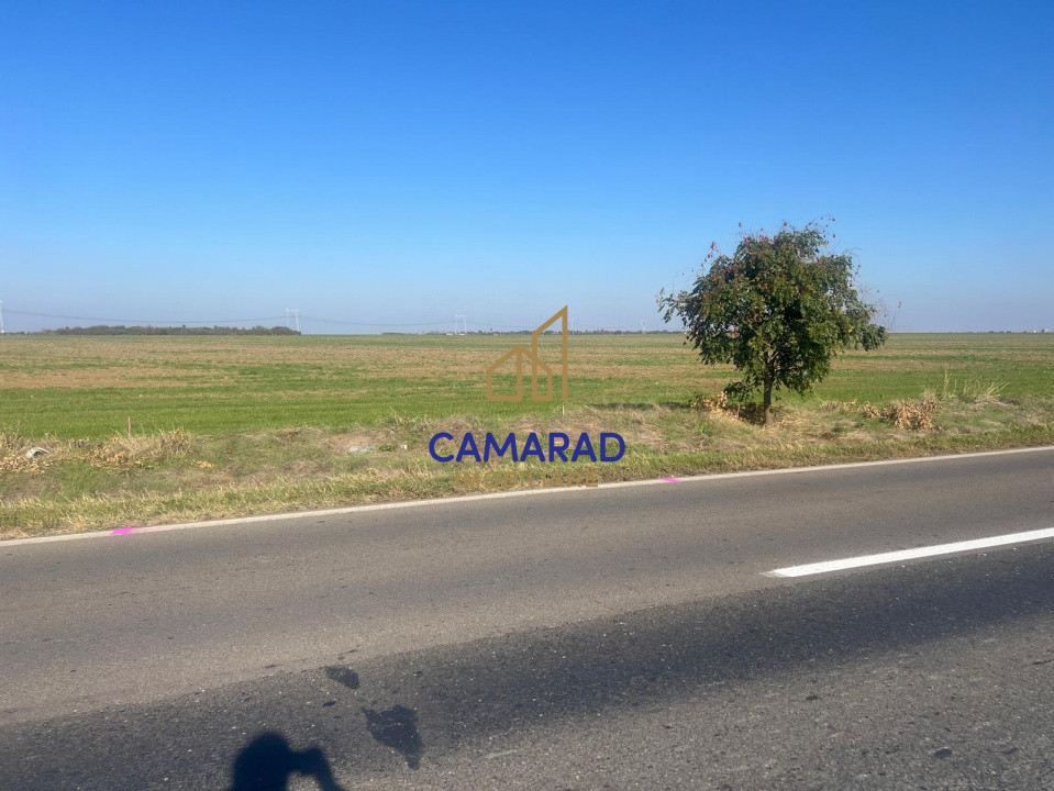 Teren de vanzare- deschidere DN4 138 m  –  Budesti, sat Gruiu - Calarasi