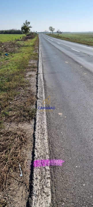 Teren de vanzare- deschidere DN4 138 m  –  Budesti, sat Gruiu - Calarasi