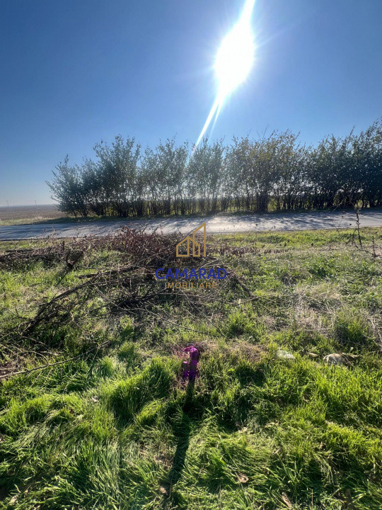 Teren de vanzare- deschidere DN4 138 m  –  Budesti, sat Gruiu - Calarasi