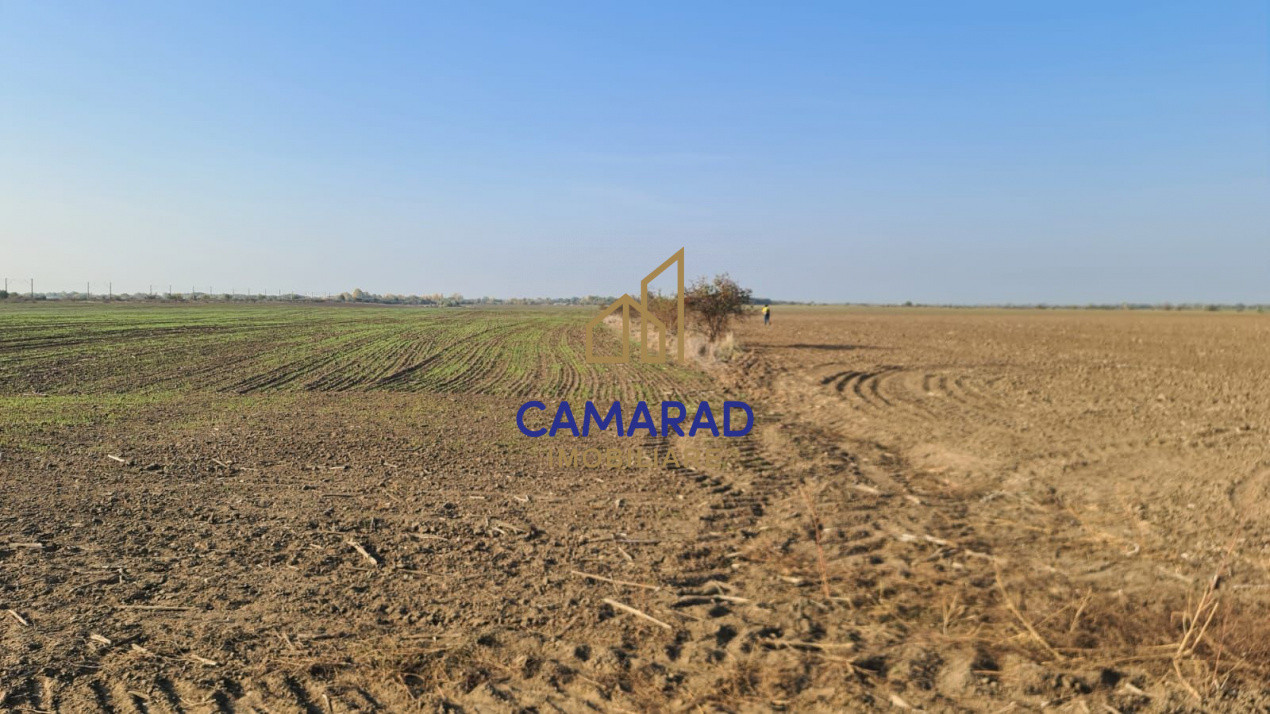 Teren intravilan de vânzare - zona industriala Domnești/A1