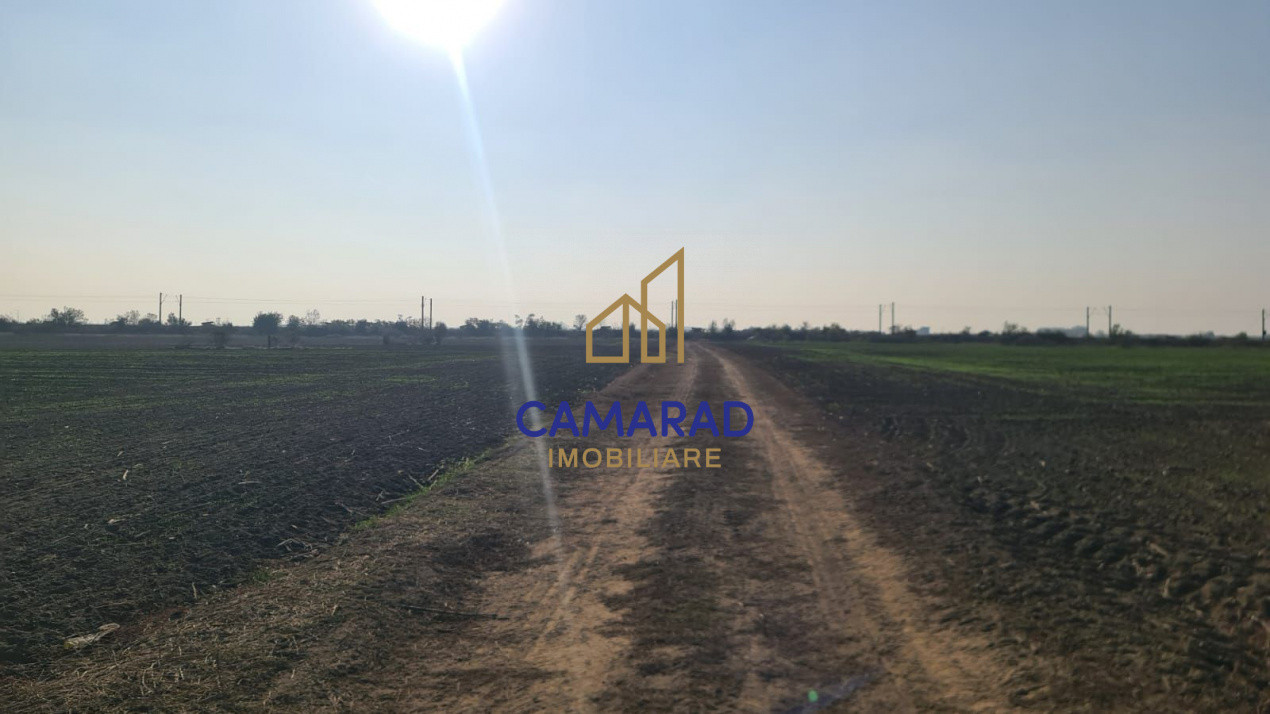 Teren intravilan de vânzare - zona industriala Domnești/A1