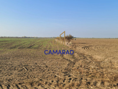 Teren intravilan de vânzare - zona industriala Domnești/A1