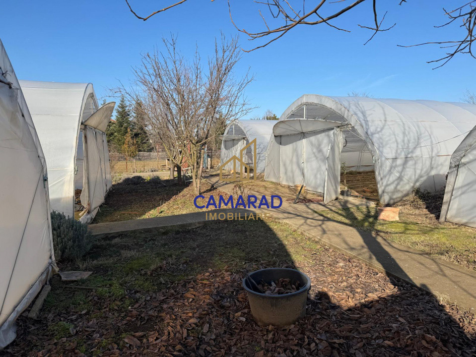 Teren intravilan vânzare - 2.750 mp – Dârvari/Tamadalu Mare (județul Călărași)