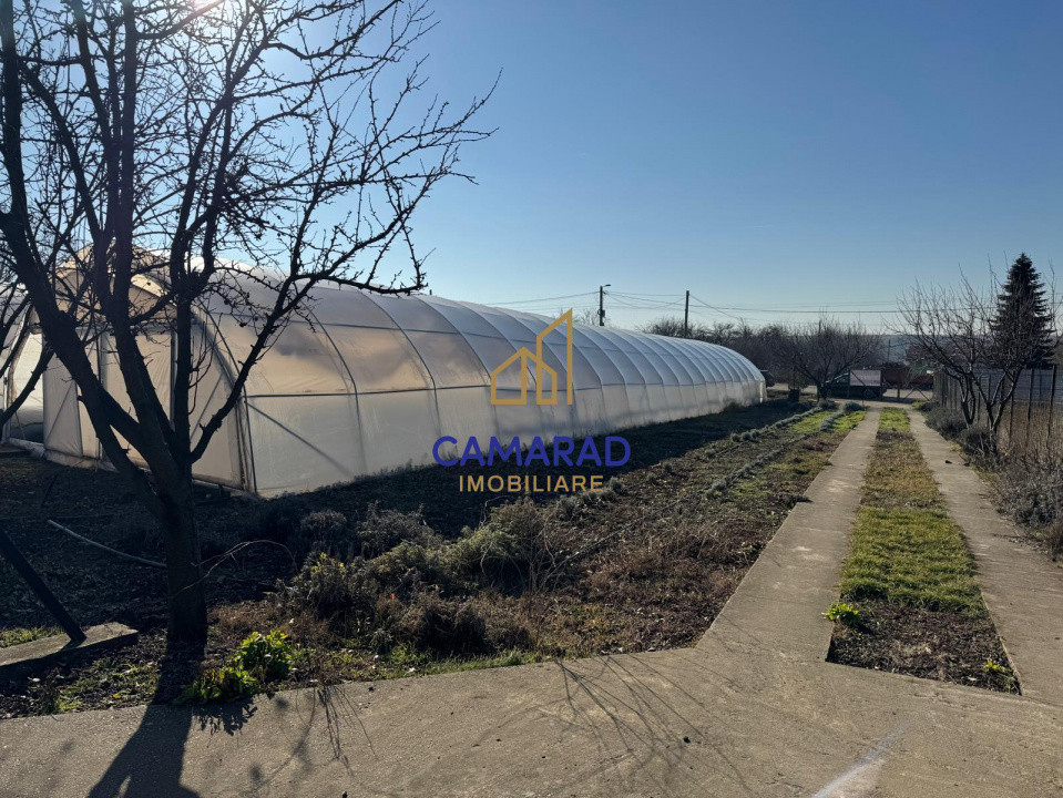 Teren intravilan vânzare - 2.750 mp – Dârvari/Tamadalu Mare (județul Călărași)