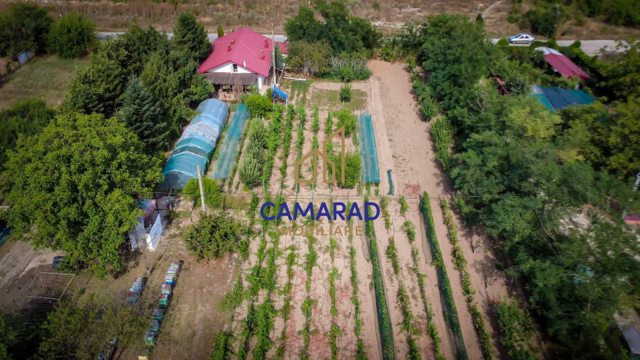 Casă și teren de 9000 mp - ideal investiție - Fundeni/Călărași