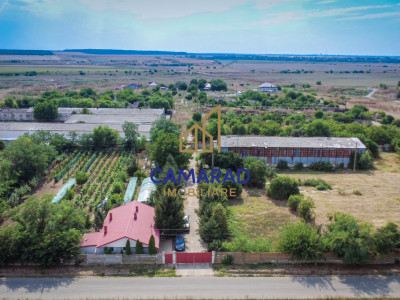 Casă și teren de 9000 mp - ideal investiție - Fundeni/Călărași
