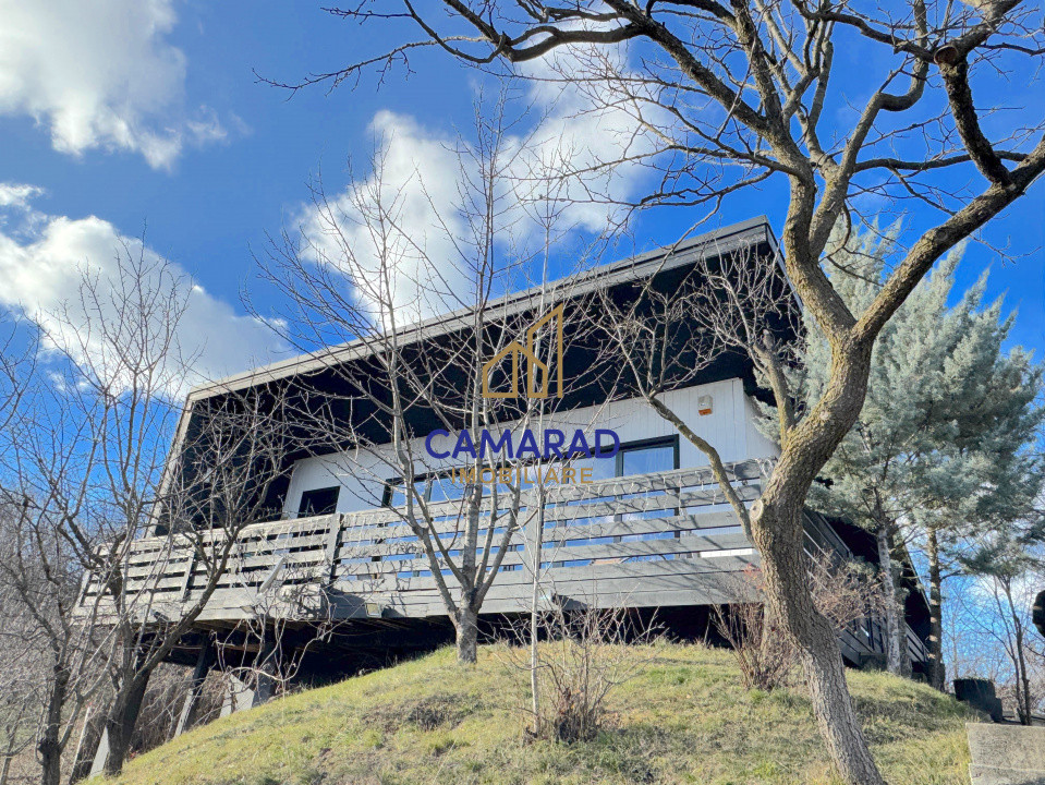 Vila vedere panoramica de vânzare - investitie - Provita de Jos, Prahova