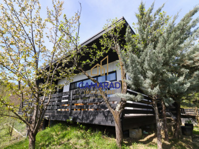 Vila vedere panoramica de vânzare - investitie - Provita de Jos, Prahova