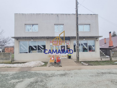 Casă de vânzare în Tămădău Mare, jud. Călărași – Strada Principală